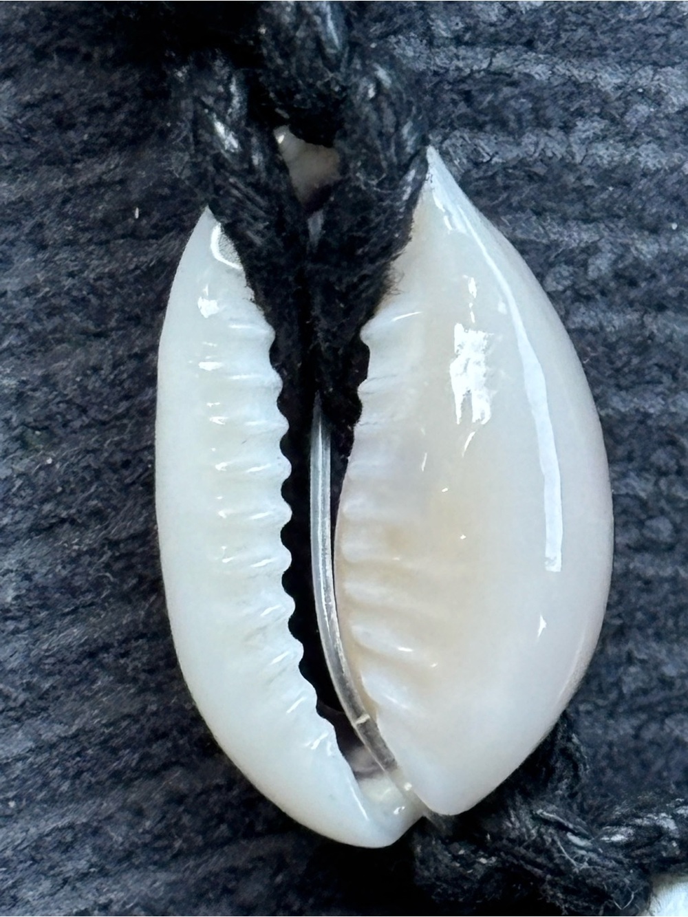 Black and Cream Cowrie Shell Bracelet/Anklet - Picture 2 of 8